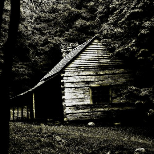 The Little Girl Behind The Tree House