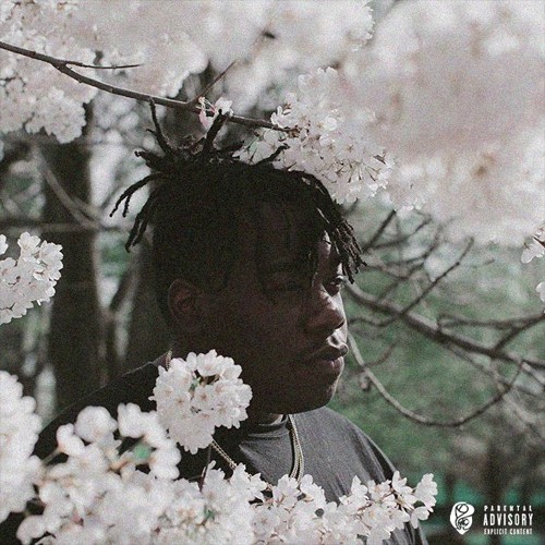 Tell Me (Prod. Martin Sole)