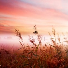 ACIM OCT 4 CONF CALL TEXT Chapter 26 VII, VIII