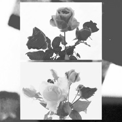 COET COCOEH-The theme of  monochrome