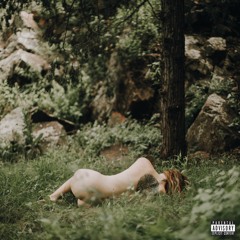 The Garden (If It All Proves To Be True)