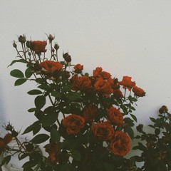 believer by imagine dragons (cover)