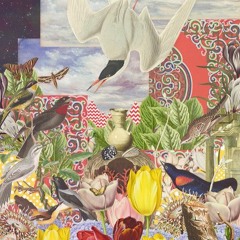 Rahul Yusina - CH1 (snip)