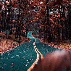 Trip to Neverland🏞⛰🌌🍃