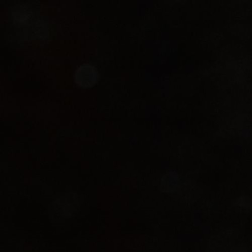 they