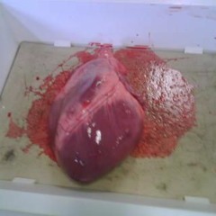 💔 Tu te rappelle de moi 💔( Prod by @BaekDoSan )