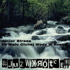 Junior Stress  - Za Mało Cichej Wody W Rzece (Rain Storm Riddim)