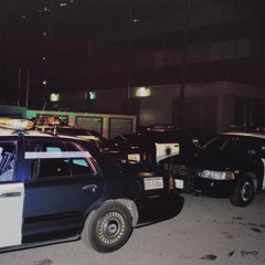 All Cats Are Beautiful