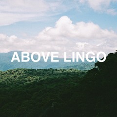 ABOVE LINGO: VOL 1