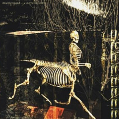 carmine moth / boxguts - hemlock