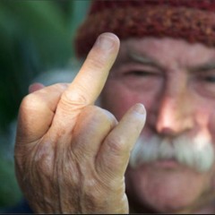 DAVID CROSBY DON'T LIKE PUNK ROCK