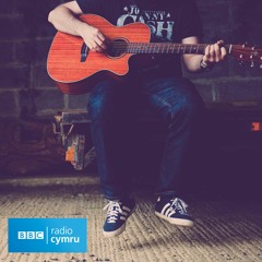 Môr-forynion (Acwstig / Acoustic)