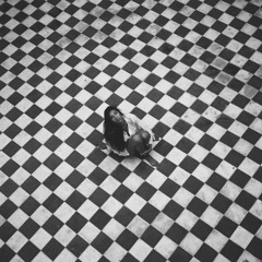 Looking for sense - Mozzaika feat Mic Lee