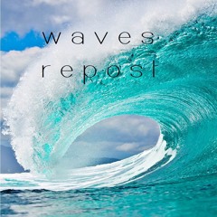 Wavesrepost Followers