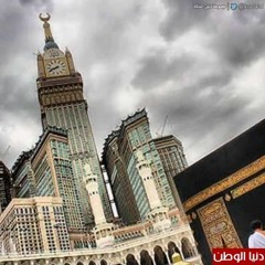 سورة ق | أحمد الحمادي