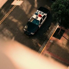 1 - SURVIVAL TACTICS