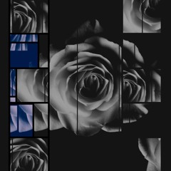 Wise Harmonics - Dreams (Prod. by Professor Wiseman)