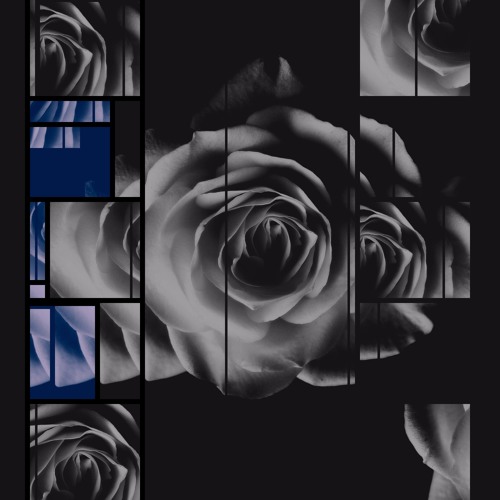 Wise Harmonics - Dreams (Prod. by Professor Wiseman)