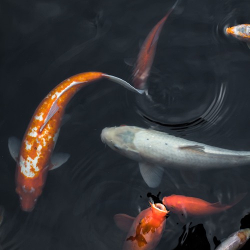 Unsettled (Instrumental)