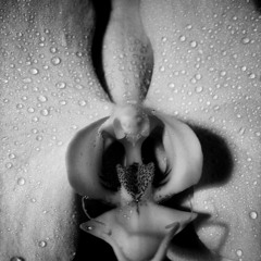 Harmon - Bound (demo)