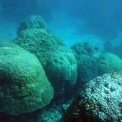 Deep Blue