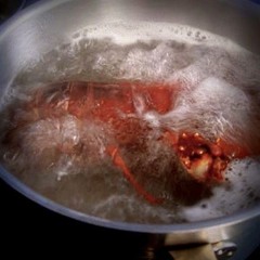 Being Boiled