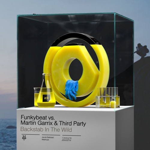 Funkybeat vs. Martin Garrix & Third Party - Backstab In The Wild (Jacob Bathead Mashup)
