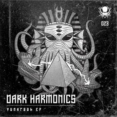 Dark Harmonics - Peaking Duck (DDD023)
