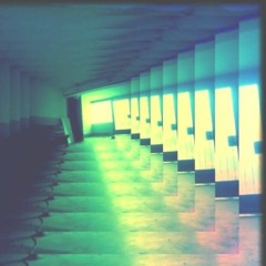 11001101_ERGA