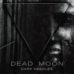 DARK NEEDLES