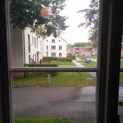 Kunskapspudden avsnitt 8 - Grannar, ett nödvändigt ont?