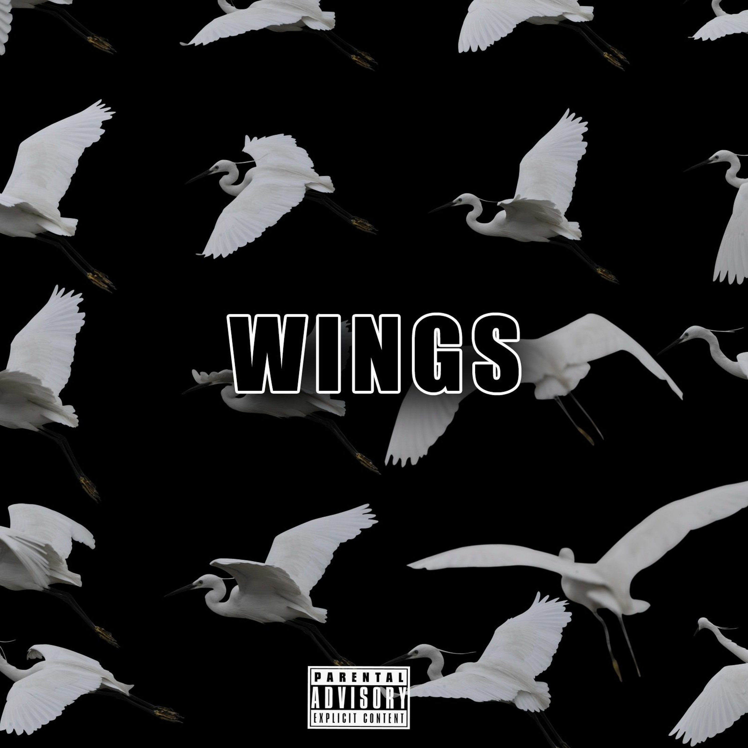 NeedNoName - WIngs episode artwork
