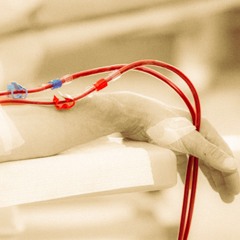 Kunskapspudden avsnitt 11 - Att tappa sig på blod - dårskap eller viljestyrka?