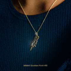 BeauDamian - Adoration