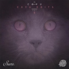 Rafael Cerato - Mayday Mayday (Coyu Raw Edit)