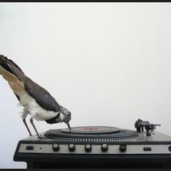 hip hop