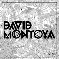 Episode 263 David Montoya