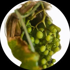 Marvin (Rowan Unofficial Disco - House Remix)