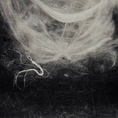 Source #16