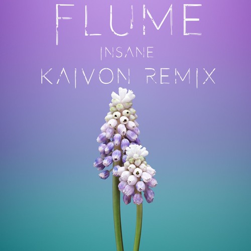 Flume - Insane (Kaivon Remix)