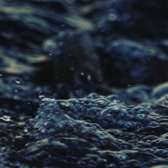 The Calm Collection (the beginning)