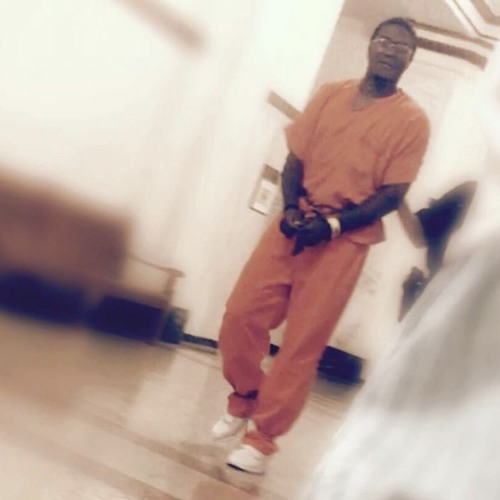 Categories - Steelo TooFooly