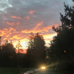 Without You - Avicii(DJ Man Bun Remix)