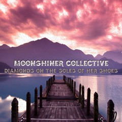 Diamonds On The Soles Of Her Shoes (Paul Simon Cover)