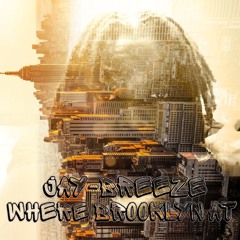 Jay-Breeze "Where Brooklyn At" (Prod. By Nasa Reams)