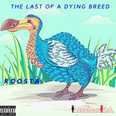 Roosta & Looly - Shake It