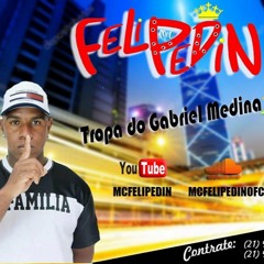 MC FELIPEDIN - TROPA DO GABRIEL MEDINA FM (( DEEJAY SALGUERINHO ))