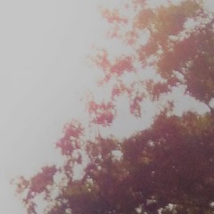 sunshine go away