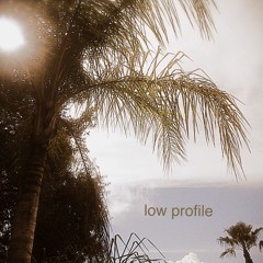 Low Profile ft. Lord K(prod. FERN STAWKAR*)