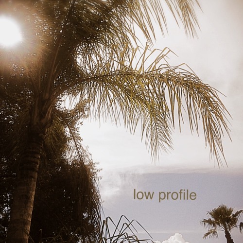 Low Profile ft. Lord K(prod. FERN STAWKAR*)